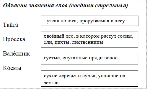 Объясни значения слов (соедини стрелками)
Тайга́
Про́сека
Вале́жник
Ко́смы
,хвойный лес, в котором растут сосны, ели, пихты, лиственницы, узкая полоса, прорубаемая в лесу,сухие деревья и сучья, упавшие на землю,густые, спутанные пряди волос