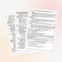 США и страны Западной Европы во второй половине XX в.