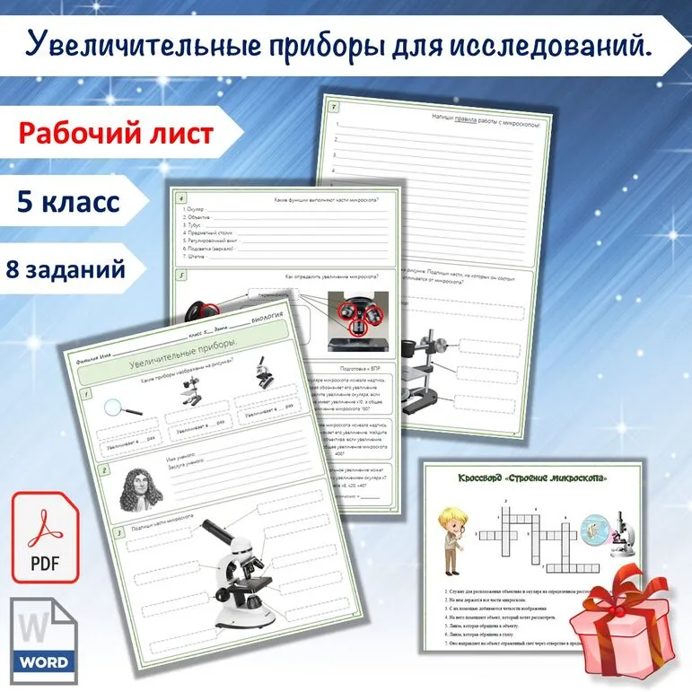 Рабочий лист «Увеличительные приборы для исследований» 5 класс