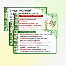 Презентация 