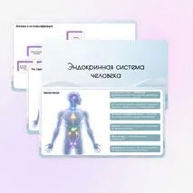 Комплект материалов «Эндокринная система человека» (презентация + рабочий лист) по биологии (9 класс)