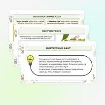 Презентация по биологии «Формы размножения животных»