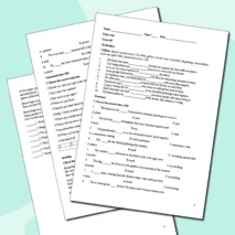 Входная контрольная работа по английскому языку для 7 класса (Entry Test -7)