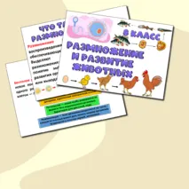 Презентация «Размножение и развитие животных». Биология 8 класс.