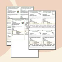 Карточки-пятиминутки. Международные отношения, конфликты и войны в конце XIX — начале ХХ в.