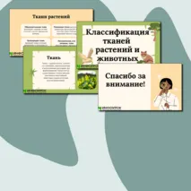 Презентации по биологии на тему:«Классификация тканей животных и растений»