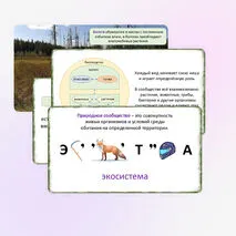 Презентация «Понятие о природном сообществе. Взаимосвязи организмов в природных сообществах», 5 класс