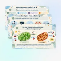 Презентация 