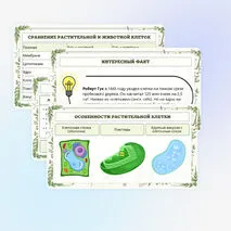 Презентация по биологии «Растительная клетка, её изучение»