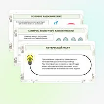 Презентация по биологии «Формы размножения животных»