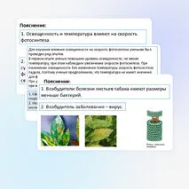 Презентация «Разбор задания 23 при подготовке к ОГЭ по биологии».