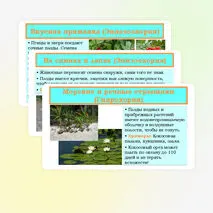 Презентация «Распространение плодов и семян в природе» 6 класс