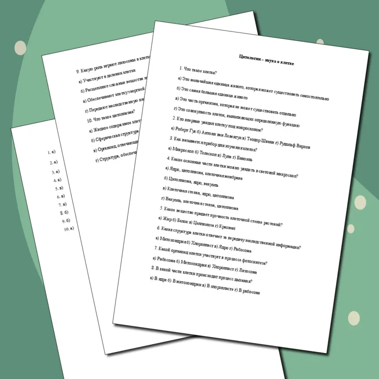 Самостоятельная работа 