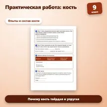 Практическая работа «Исследование свойств кости» по биологии для 9 класса