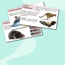 Комплект материалов по теме: «Опора и движение животных» (презентация + рабочий лист). Практическая работа №1 «Ознакомление с органами опоры и движения у животных».