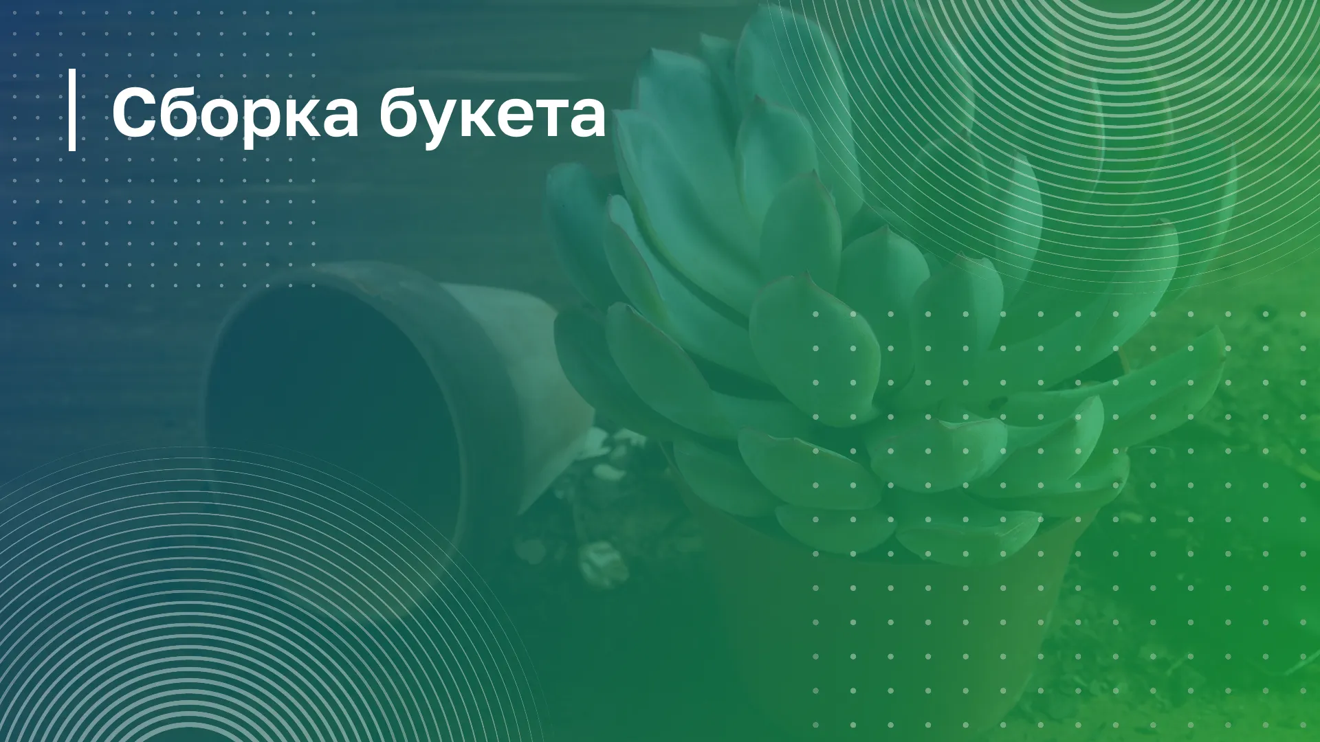 Обложка курса