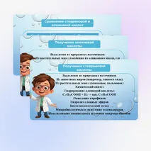 Презентация «Стеариновая и олеиновая кислоты, как представители высших карбоновых кислот»