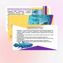 Презентация «Хрящевые и костные рыбы». Биология 8 класс.
