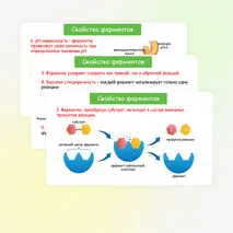 Презентация по биологии 