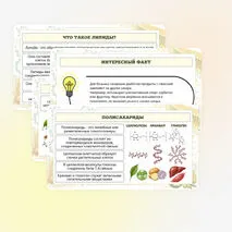 Презентация по биологии «Углеводы. Липиды