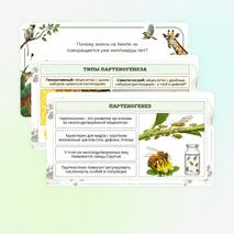 Презентация по биологии «Формы размножения животных»
