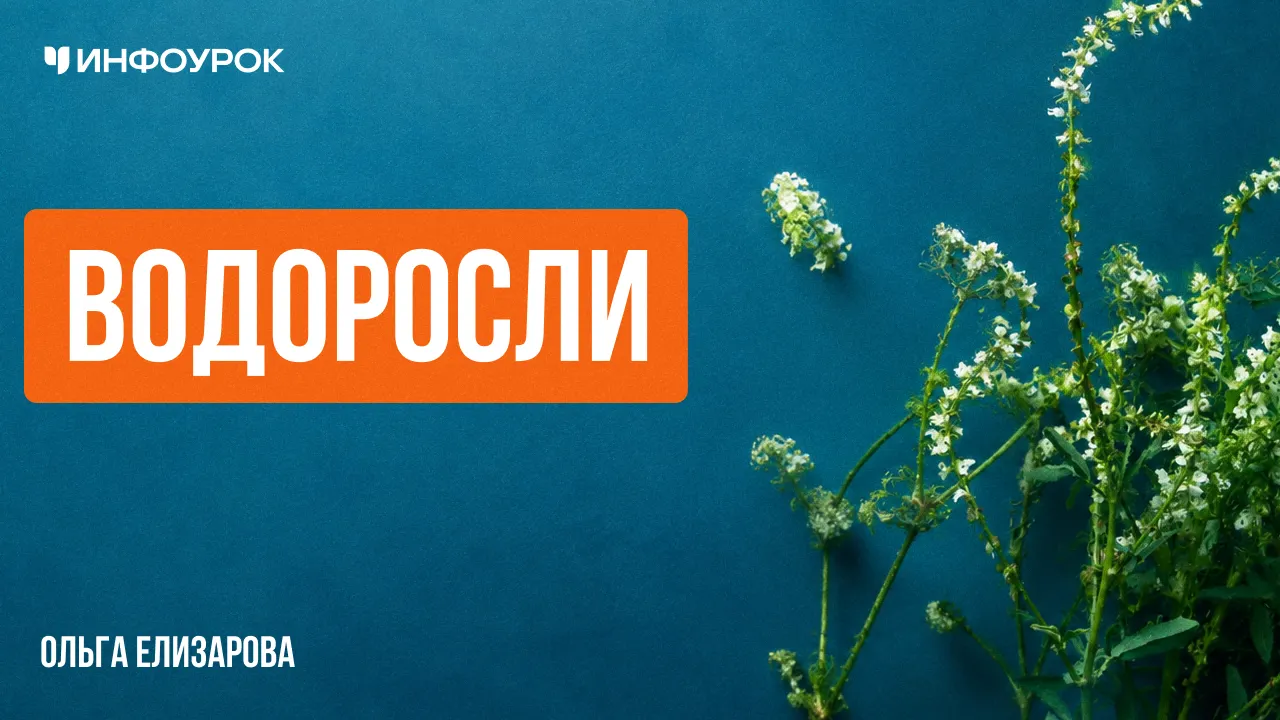Водоросли