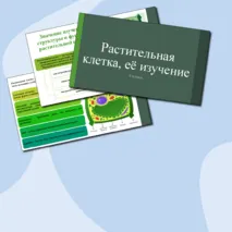 Презентация по теме: «Растительная клетка, её изучение». 6 класс