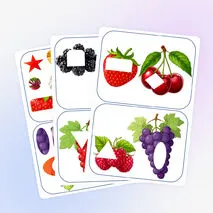 Дидактическая игра 