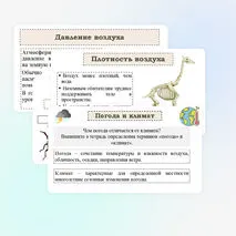 Презентация 