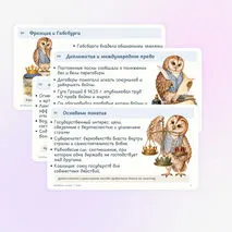 Презентация по истории «Международные отношения в XVI–XVII вв.» 7 класс | Тридцатилетняя война, Вестфальский мир, международное право