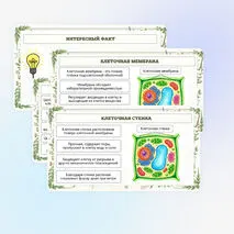 Презентация по биологии «Растительная клетка, её изучение»