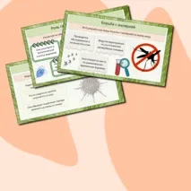 Презентация по биологии по теме «Многообразие и значение простейших в природе и в жизни человека»