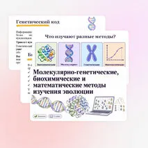 Презентация 
