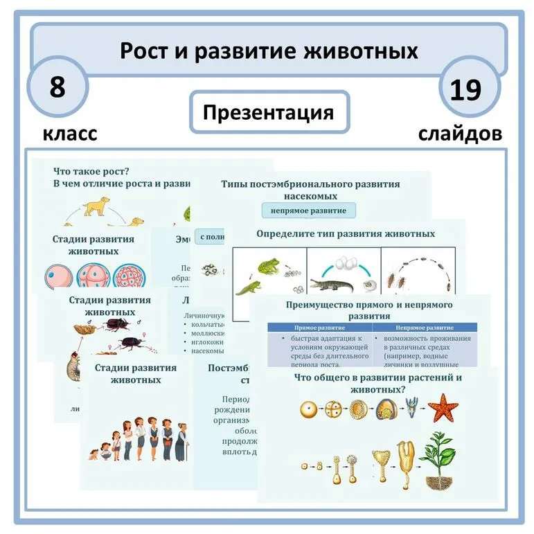 Презентация по биологии 