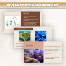 Презентация «Тип кишечнополостные» к учебнику по биологии для 7 класса- Пасечник В.В., Суматохин С.В. и др.