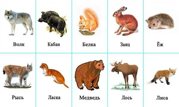https://megatoys24.ru/uploads/all/5c/f5/ee/5cf5ee5718b7cbd23cf96a2d2114f2e0.jpg