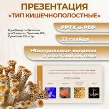 Презентация «Тип кишечнополостные» к учебнику по биологии для 7 класса- Пасечник В.В., Суматохин С.В. и др.