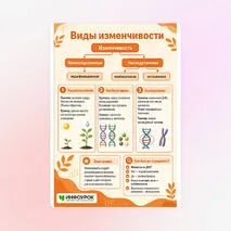 Памятка «Виды изменчивости»