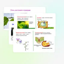 Презентация: 
