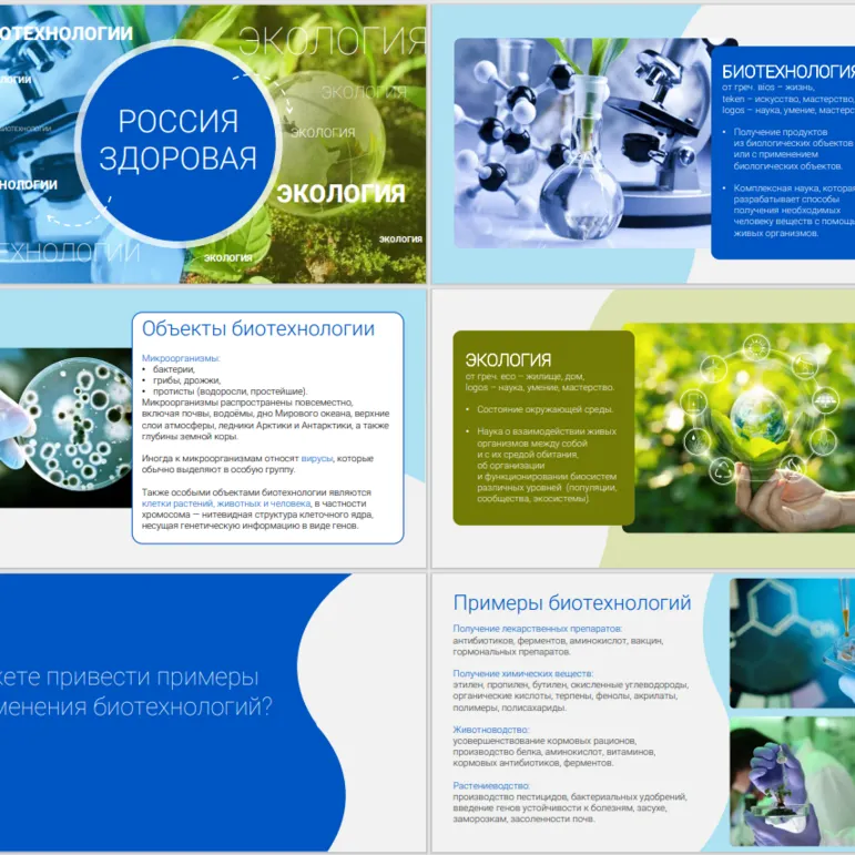 Презентация 