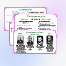 Презентация по биологии «Вирусы - неклеточная форма жизни», 10 класс