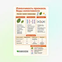 Памятка «Изменчивость признаков. Виды изменчивости»