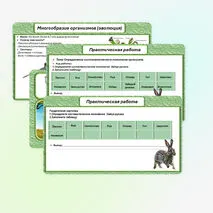Презентация по биологии в 5 классе «Разнообразие организмов и их классификация. Практическая работа: «Ознакомление с принципами систематики организмов».