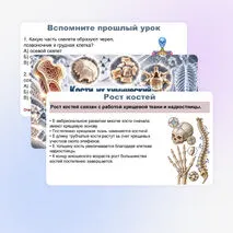 Презентация по биологии (9 класс) 
