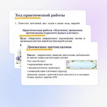 Презентация 