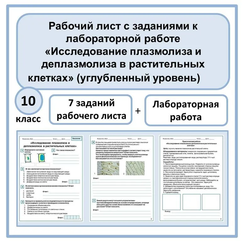 Рабочий лист + лабораторная работа «Исследование плазмолиза и деплазмолиза в растительных клетках» 10 класс (углубленный уровень)