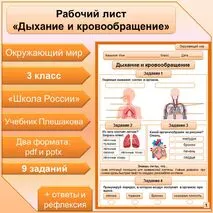 Рабочий лист по теме 