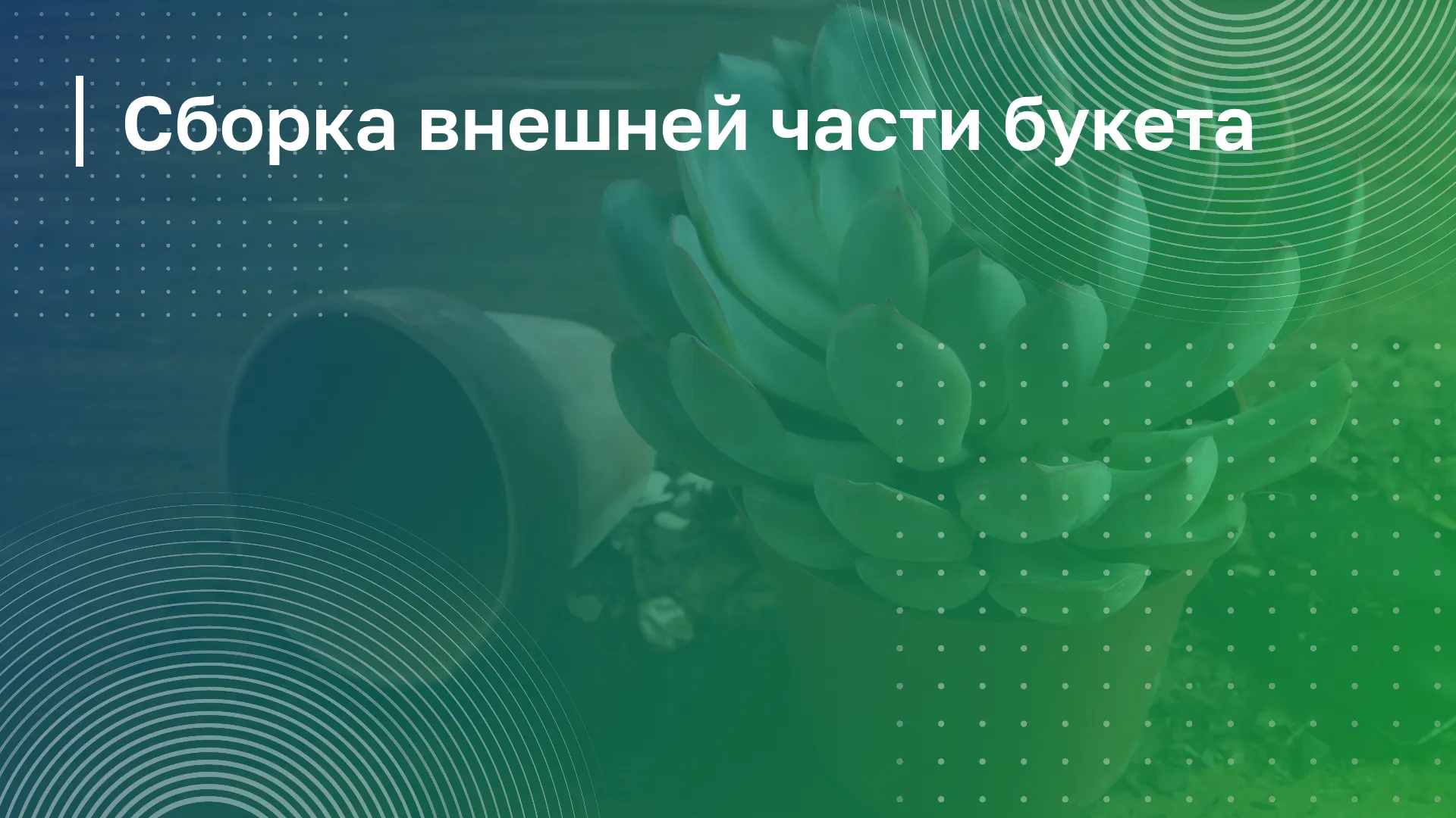 Обложка курса