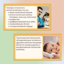 «Человек как часть природы», 9 класс