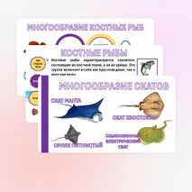 Презентация «Хрящевые и костные рыбы». Биология 8 класс.